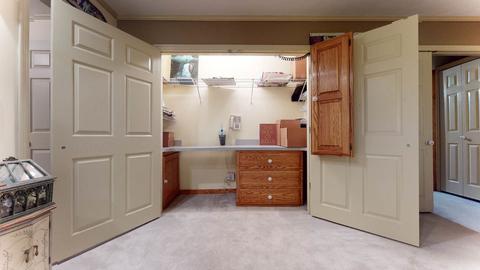 7607 Hamilton Ave, Burr Ridge, IL 60527 photo 40