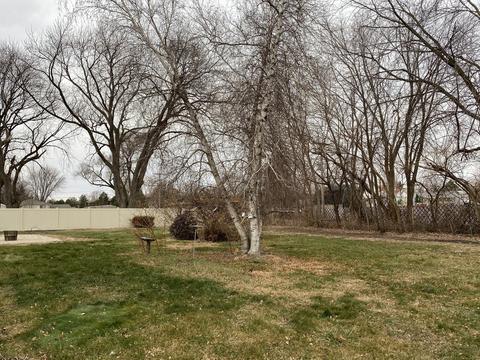 4834 135th St, Crestwood, IL 60445 photo 7