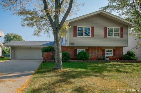 1335 Rosedale Ln, Hoffman Estates, IL 60169 photo 1