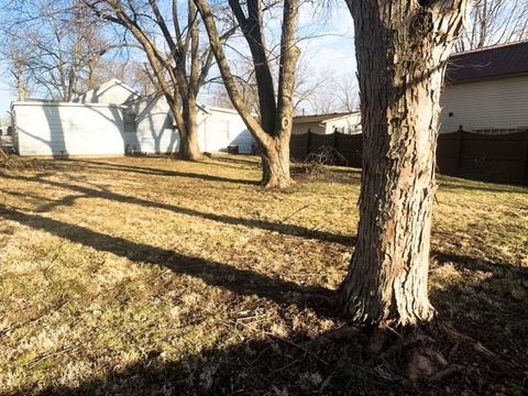 112 N Price St, Downs, IL 61736 photo 20