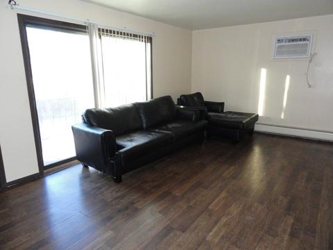 14643 Lamon Ave E #2B, Midlothian, IL 60445 photo 2