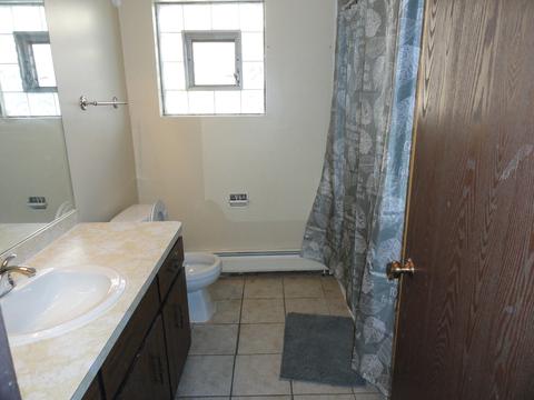 14643 Lamon Ave E #2B, Midlothian, IL 60445 photo 8