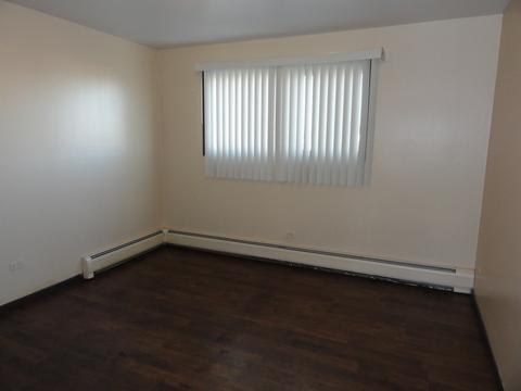 14643 Lamon Ave E #2B, Midlothian, IL 60445 photo 7
