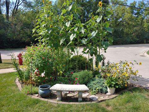 620 W Oneida Ave, Bartlett, IL 60103 photo 20
