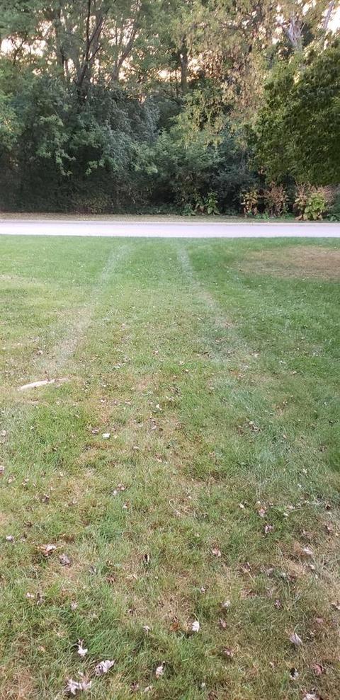 620 W Oneida Ave, Bartlett, IL 60103 photo 37