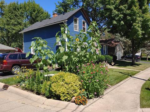 620 W Oneida Ave, Bartlett, IL 60103 photo 4
