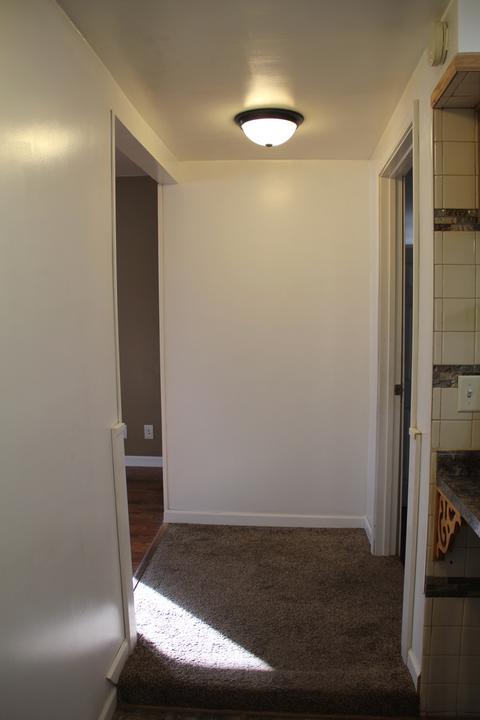 308 E Columbia St, Danvers, IL 61732 photo 25