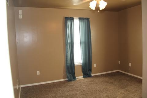 308 E Columbia St, Danvers, IL 61732 photo 21