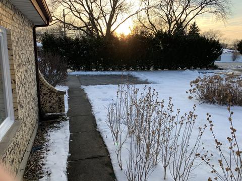 382 Rand Rd, Des Plaines, IL 60016 photo 22