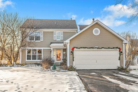 1124 Stonebridge Ct, Elgin, IL 60120 photo 2