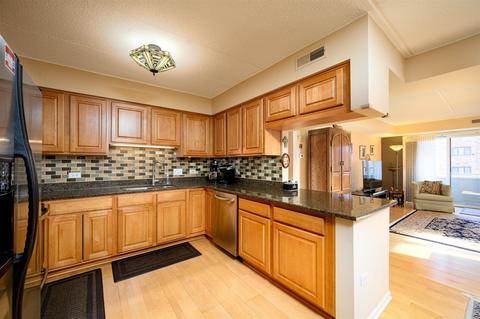 435 William St #504, River Forest, IL 60305 photo 8