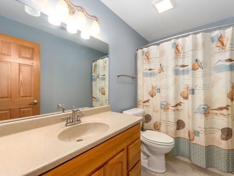 2207 Owl Dr, Plainfield, IL 60586 photo 29