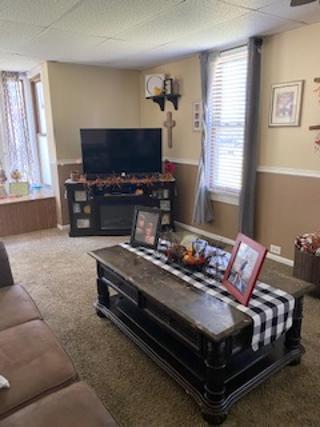 404 Center St, Mazon, IL 60444 photo 20