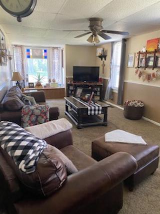 404 Center St, Mazon, IL 60444 photo 22