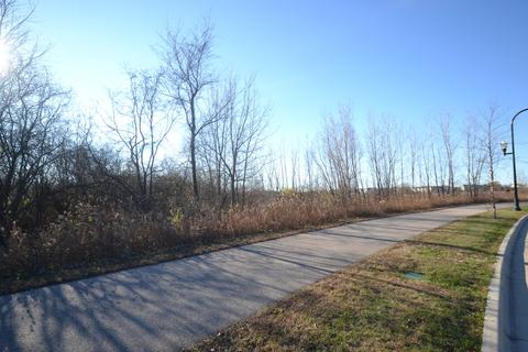 003 South St, Elgin, IL 60124