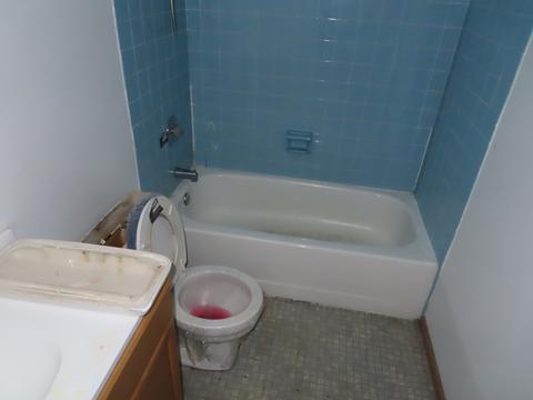 3447 218th Pl, Matteson, IL 60443 photo 5