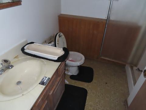 3447 218th Pl, Matteson, IL 60443 photo 20