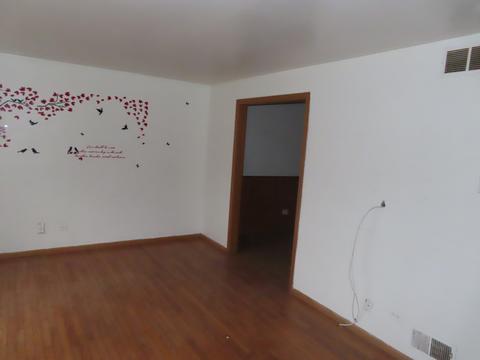3447 218th Pl, Matteson, IL 60443 photo 11
