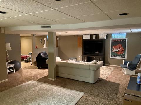 1411 Paula Ave, Wheaton, IL 60189 photo 18