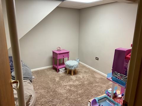 1411 Paula Ave, Wheaton, IL 60189 photo 15