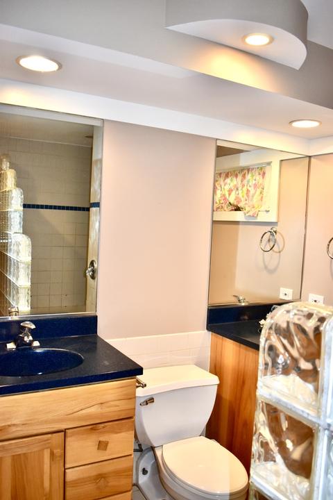 1411 Paula Ave, Wheaton, IL 60189 photo 8