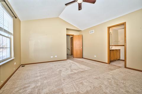 1731 Hidden Oaks Ct, Plainfield, IL 60586 photo 38