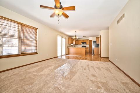1731 Hidden Oaks Ct, Plainfield, IL 60586 photo 23
