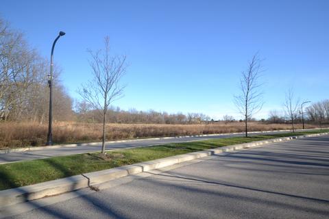 004 South St, Elgin, IL 60124