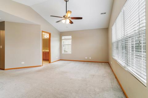 24217 Walnut Cir, Plainfield, IL 60585 photo 12