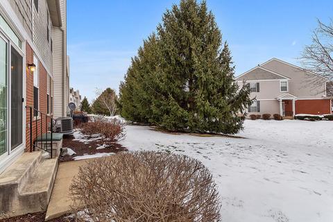 24217 Walnut Cir, Plainfield, IL 60585 photo 19