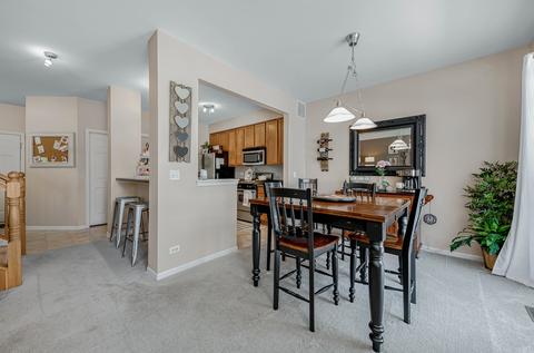 129 S Concord Dr, Oswego, IL 60543 photo 8