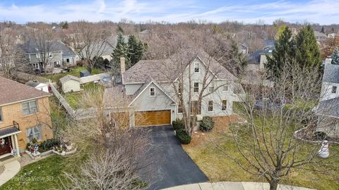 3908 Nighthawk Ct, Naperville, IL 60564 photo 47