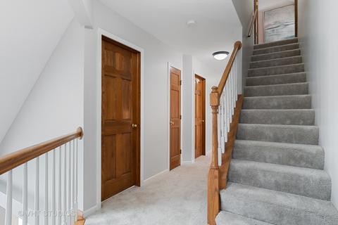 3908 Nighthawk Ct, Naperville, IL 60564 photo 23