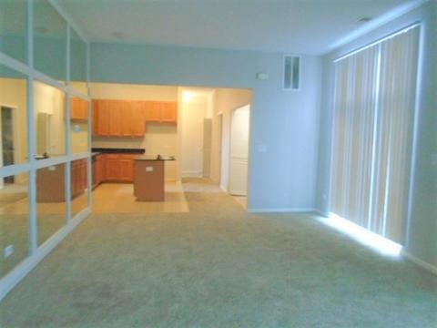 824 E 38th Pl #1, Chicago, IL 60653 photo 9