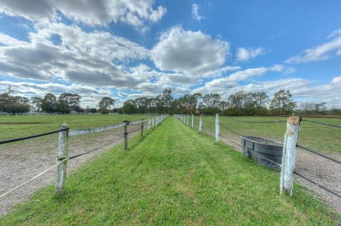 546 E Munz Rd, Crete, IL 60417 photo 4