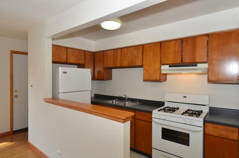 586 N Rozanne Dr, Addison, IL 60101 photo 5