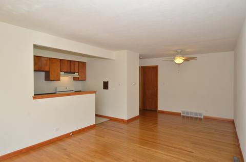 586 N Rozanne Dr, Addison, IL 60101 photo 4