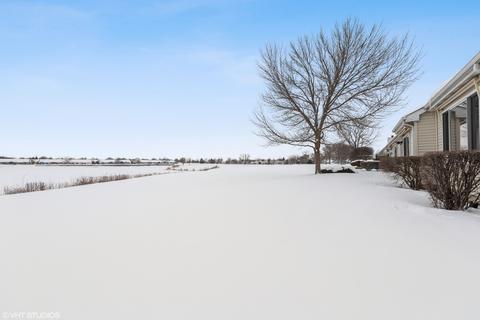 21136 Buckeye Ct, Plainfield, IL 60544 photo 22