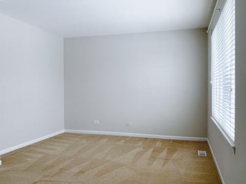 1357 Spaulding Rd, Bartlett, IL 60103 photo 21
