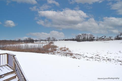 3593 Tournament Dr, Elgin, IL 60124 photo 46