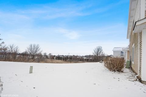 1666 Cornell Dr, Hoffman Estates, IL 60169 photo 13