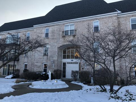 5001 Carriageway Dr #A307, Rolling Meadows, IL 60008 photo 1
