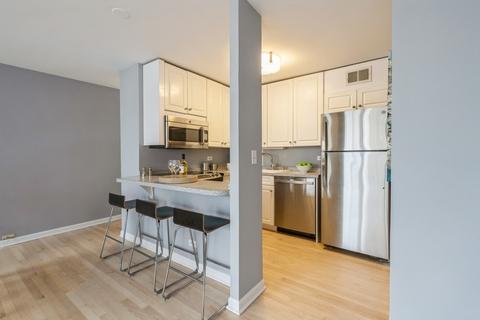 33 E Cedar St #18H, Chicago, IL 60611 photo 7