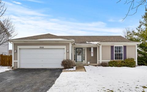7222 Faxton Ln, Plainfield, IL 60586 photo 27