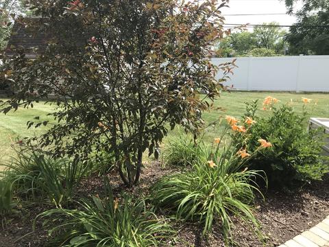 1585 Edgefield Ln, Hoffman Estates, IL 60169 photo 51