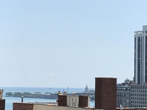 71 E Division St #1502, Chicago, IL 60610 photo 7