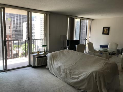 71 E Division St #1502, Chicago, IL 60610 photo 3