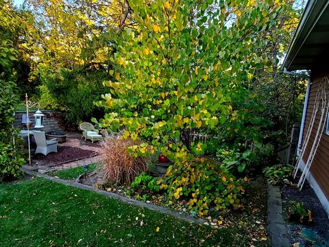 441 West Ave, Morris, IL 60450 photo 29