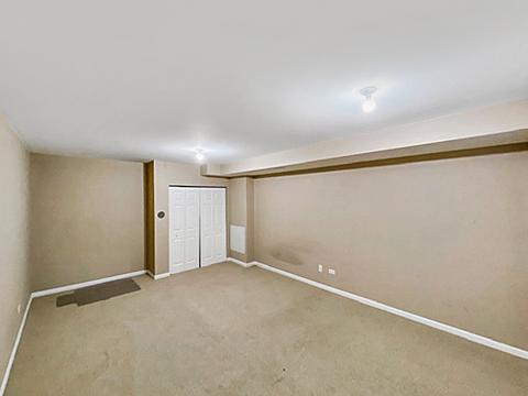 1785 Ruzich Dr, Bartlett, IL 60103 photo 20