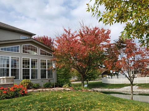 13521 Vicarage Dr, Plainfield, IL 60544 photo 43